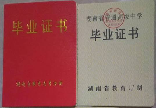 样本图4